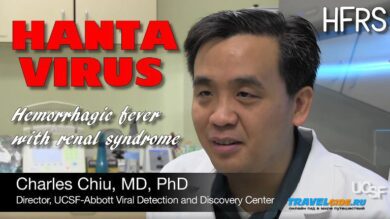 Хантавирус