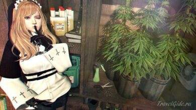 Канабис Screenshot: game "Sisters of the Valley"