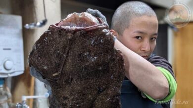 Рыба - удильщик