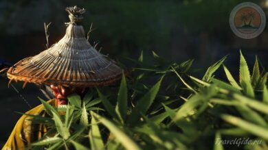 Коку в Японии