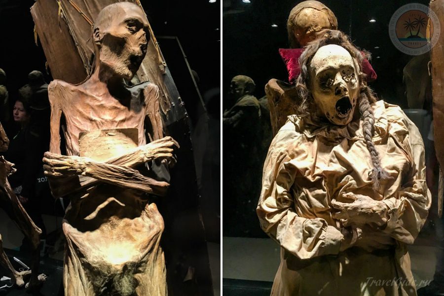 Кричащие мумии в музее Гуанахуато