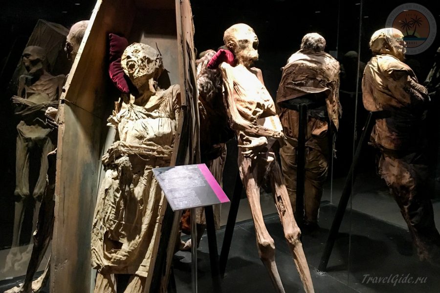 Мумии в музее Гуанахуато