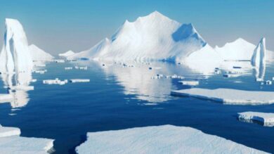 Льды Северного полюса