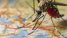 Комар на карте мира