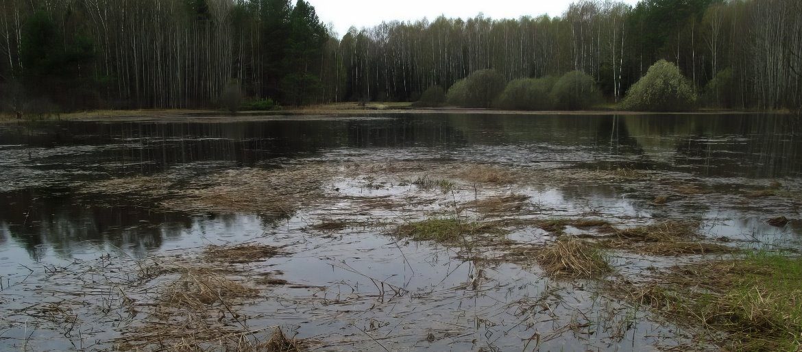 Чёрное болото во Владимирской области