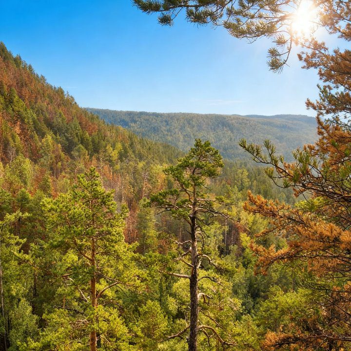 Реальная фотка: Природа бухты Природа бухты