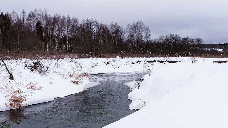  Снег в лесу