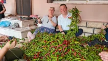 Острый перец из Караагача