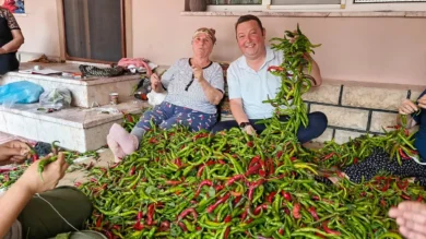 Острый перец из Караагача