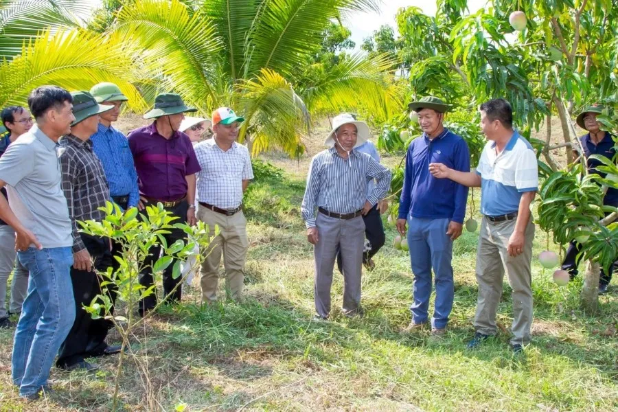 Фото: Гости на ферме San Viet Farm Гости на ферме San Viet Farm