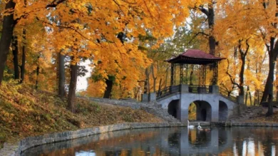 Осень в Пекине